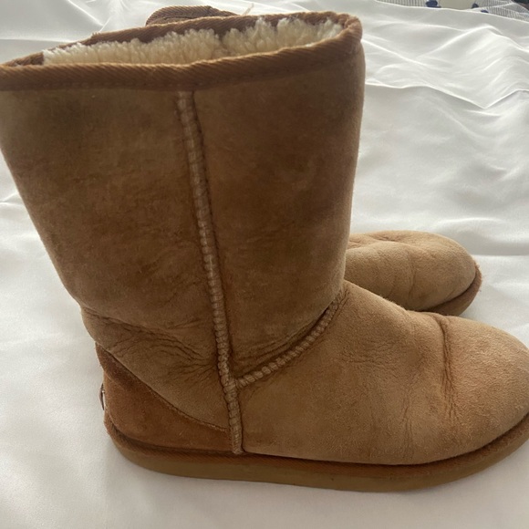 Ugg - Short Boots - Picture 5 of 5